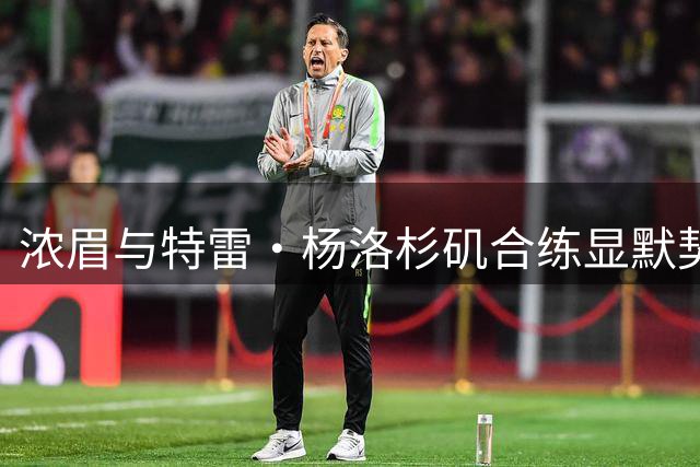 浓眉与特雷·杨洛杉矶合练显默契 后仰跳投展现神准手感