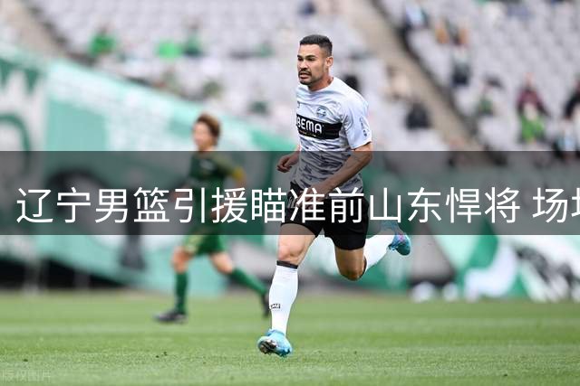 辽宁男篮引援瞄准前山东悍将 场均19+7内线或加盟补强短板